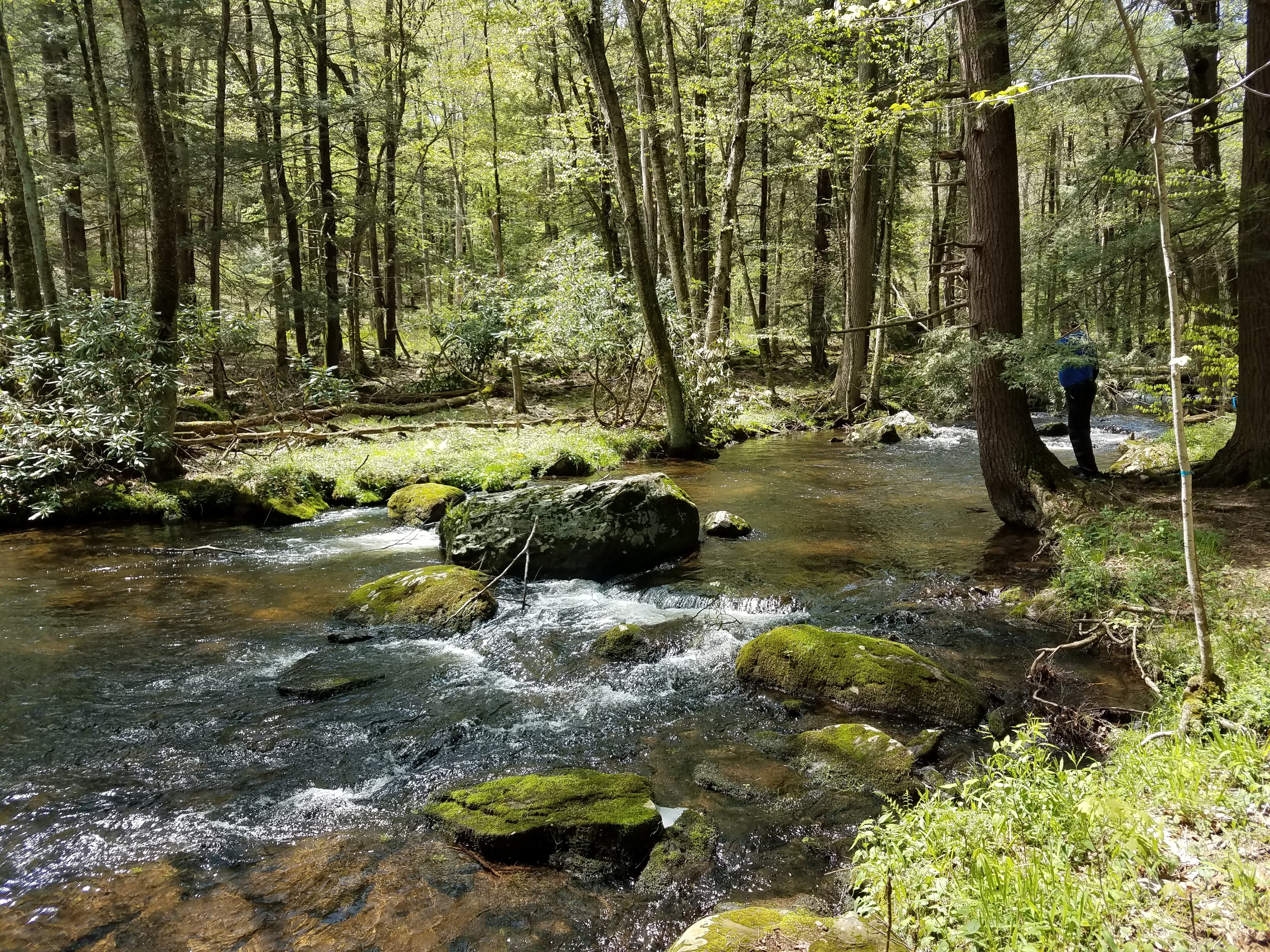 PennFuture Releases Updated Stream Redesignation Handbook: A Step-by-Step  Guide for Local Stream Protection Efforts