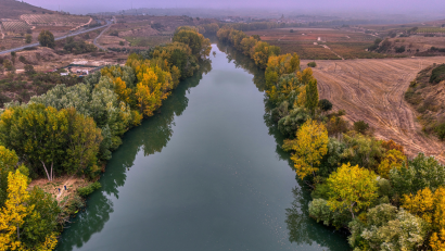Thumbnail for PennFuture model riparian buffer ordinance helps municipalities &ldquo;get buff&rdquo; by protecting water quality and saving money