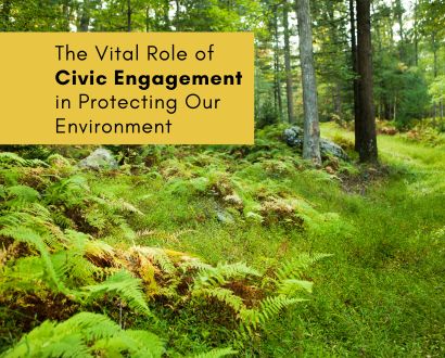 Thumbnail for Empowering Voices: The Vital Role of Civic Engagement in Protecting Our Environment