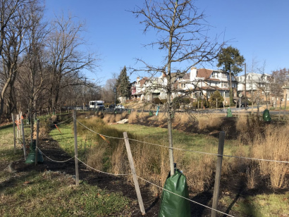 Thumbnail for Green and Complete Streets Programs are Good for Communities and the Environment