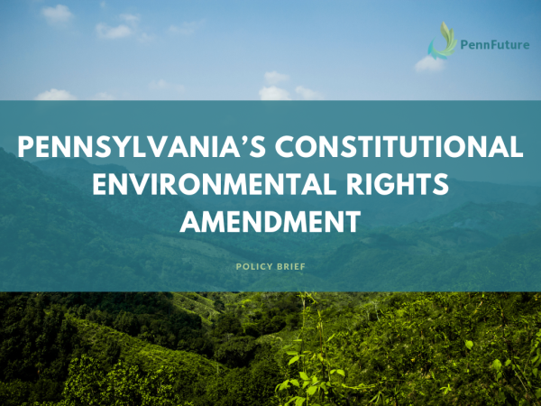 Banner Image of Environmental Rights Amendment