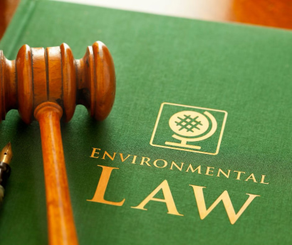 Thumbnail for Summer 2024 Legal Interns