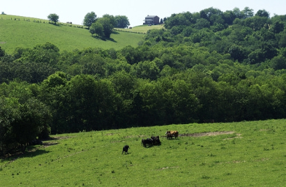 Thumbnail for Giving Thanks for Open Spaces and Fighting for LWCF