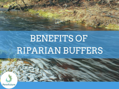 Thumbnail for Riparian Buffers: a Natural, Inexpensive, and Crucial Way to Protect and Improve Water Quality