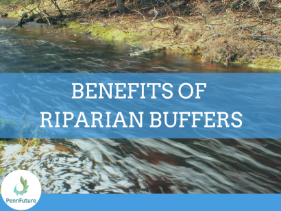 Thumbnail for Riparian Buffers