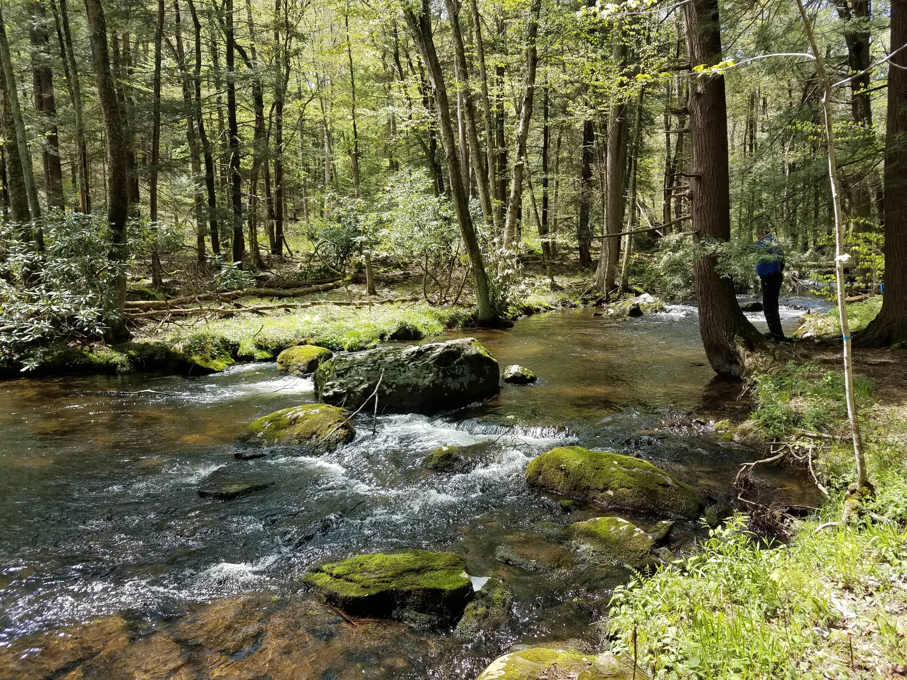 Stream Protection Systems PennFuture Releases Updated Stream Redesignation Handbook: A Step-by ...
