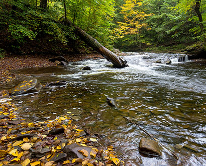 Thumbnail for PennFuture Submits Comments Opposing the Dirty Water Rule, Engages More Than 1,400 Citizens to Do the Same