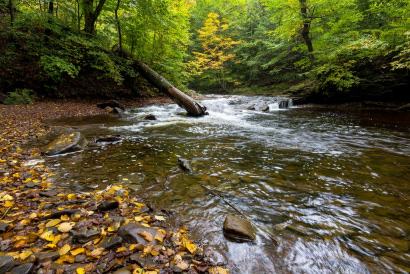 Thumbnail for PennFuture Celebrates Legal Victory for Exceptional Value Streams