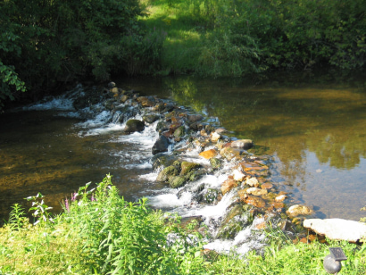 Thumbnail for Aquashicola Creek Finally Given Exceptional Value Designation