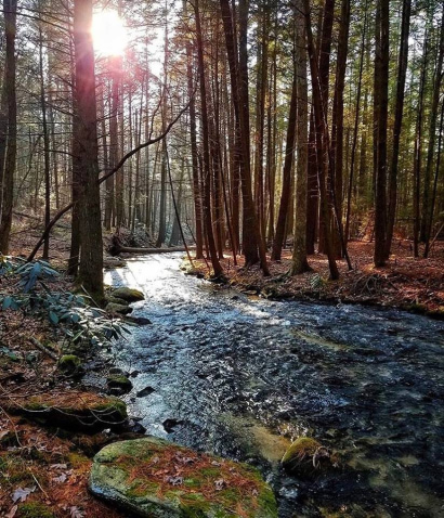 Thumbnail for How Pending Federal Appropriations Might Affect Chesapeake Bay Watershed