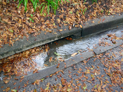 Thumbnail for Recent Passage of Lawn Care Bill Will Improve Pennsylvania's Waterways