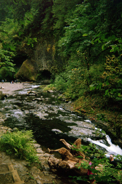 Thumbnail for Pittlandia: Is Pittsburgh the New Portland?