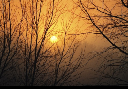 Thumbnail for Scrooge and Year End Giving