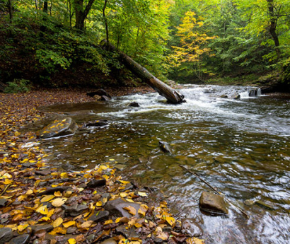 Thumbnail for PA streams: Let's protect the best of the best.