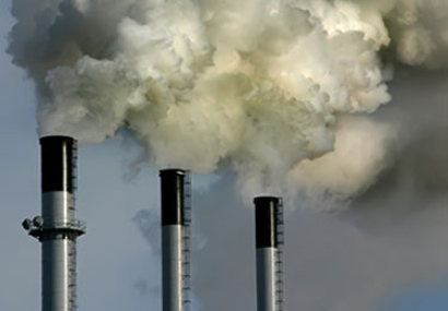 Thumbnail for What a Trump presidency means for our environment and future generations.