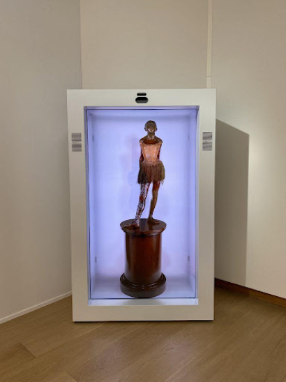 Thumbnail for Exhibiting Art and Fighting Climate Change