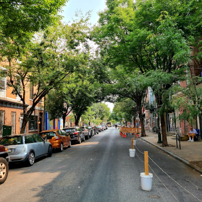 Thumbnail for Philly Tree Fund Bill A Significant Step in Protection of Tree Canopy