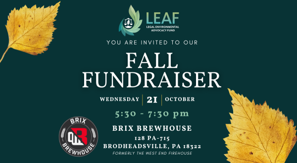 Thumbnail for LEAF Fall Fundraiser Soiree